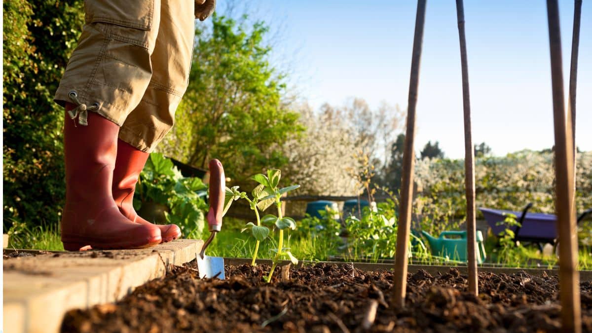 Il applique ces 3 techniques au jardin chaque fin mars : le résultat en avril laisse tout le voisinage sans voix
