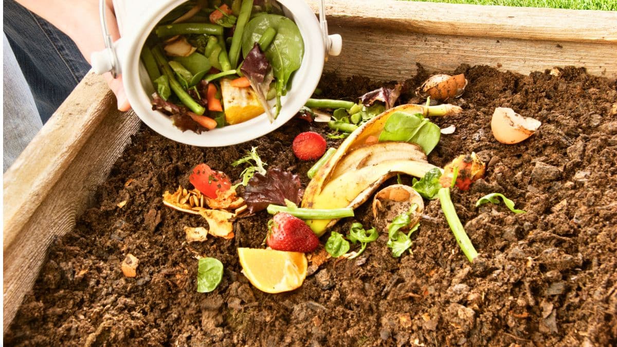 Améliorez votre compost de printemps avec ces astuces simples et efficaces