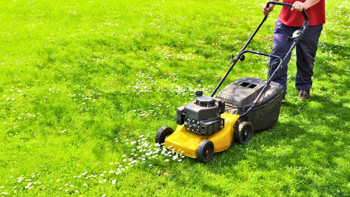Tondre votre pelouse ce week-end ? Ce que les jardiniers expérimentés vérifient toujours avant de sortir la tondeuse