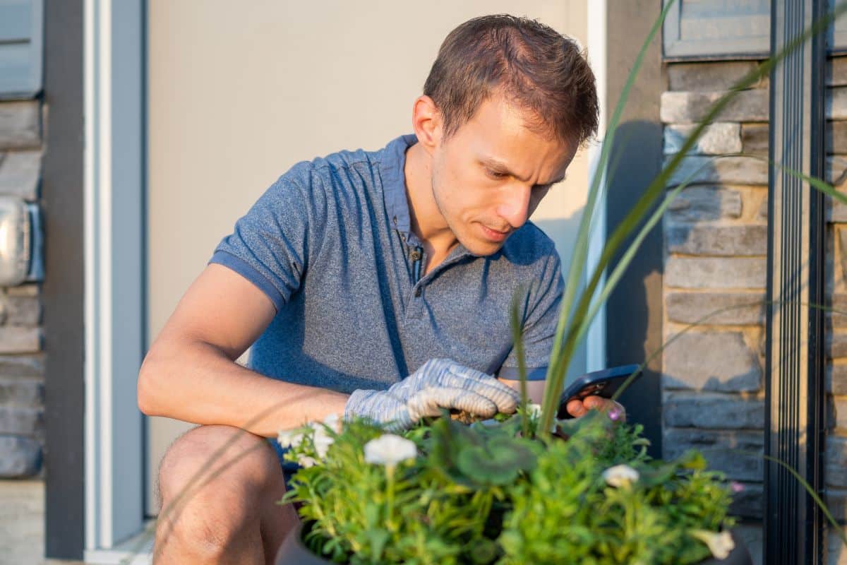 Attention, ne chassez plus ce nuisible cette année : il a un rôle crucial dans votre jardin !