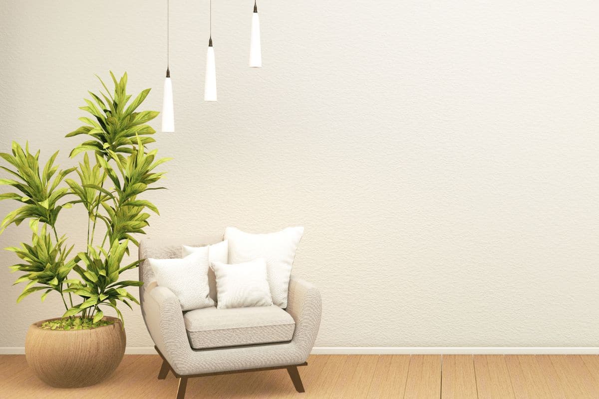 Elle achète une plante d’intérieur ultra rare à 143 000€, voici la raison de ce prix vertigineux qui intrigue tout le monde