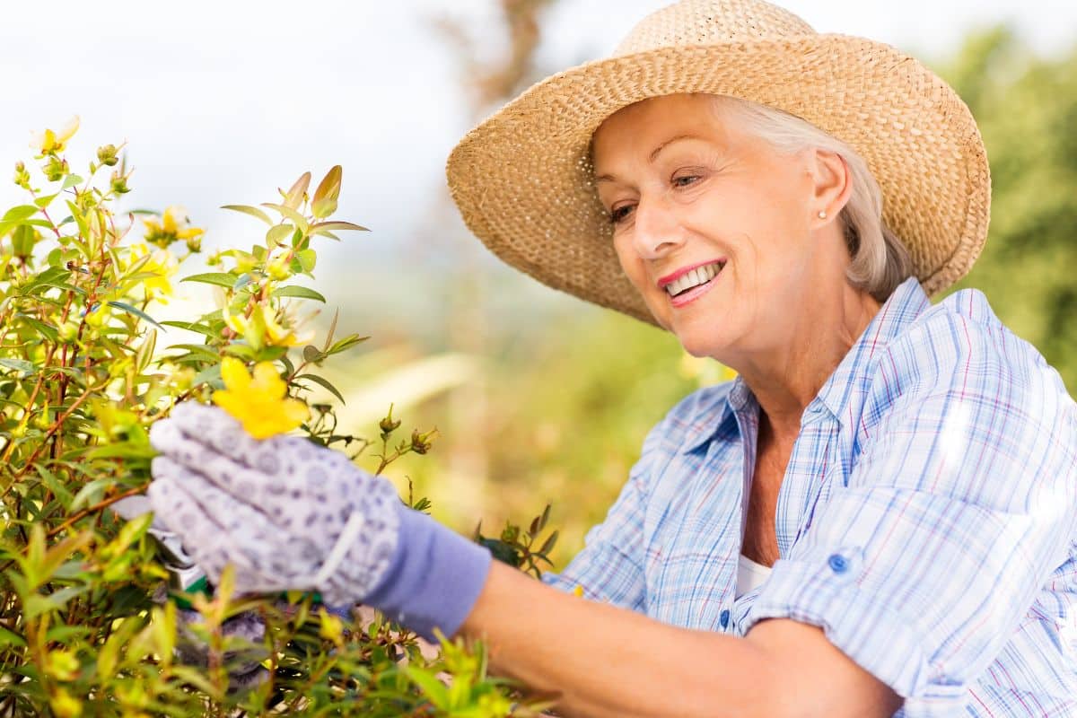 'Plus besoin d’arroser sans cesse : cette technique transforme votre jardin en véritable éponge'