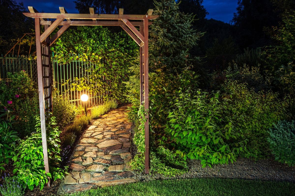 Ce réflexe du soir en mai vous assure un jardin protégé d'une invasion indétectable