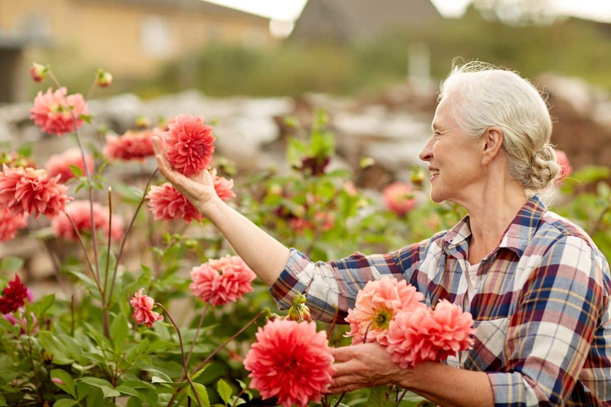 Tonte, arrosage, désherbage : ce planning précis de juin fait toute la différence pour un jardin sublime en été