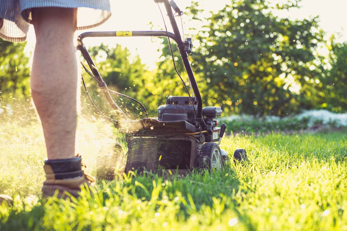 Pelouse brûlée, sol craquelé : ce geste pourtant anodin détruit vos extérieurs à vitesse grand V l'été
