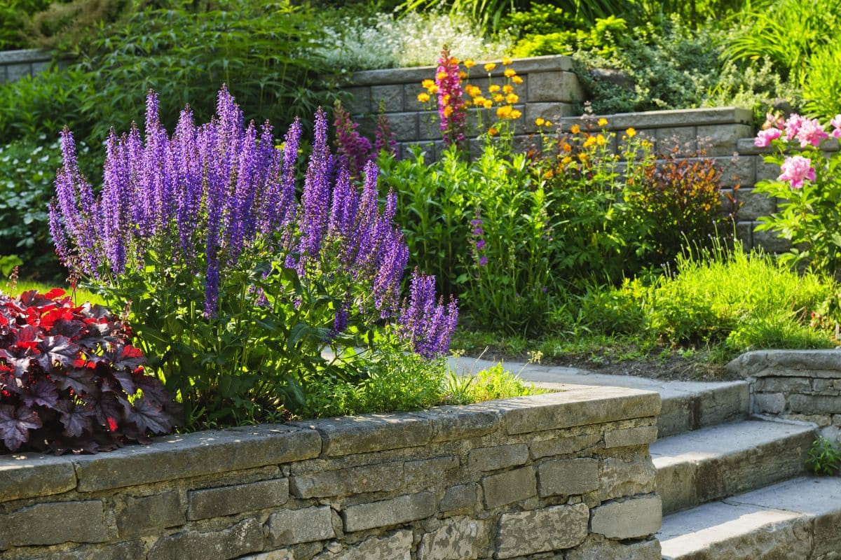 Tous les jardiniers l’évitent, mais ceux qui la gardent ont découvert un effet insoupçonné sur leurs cultures