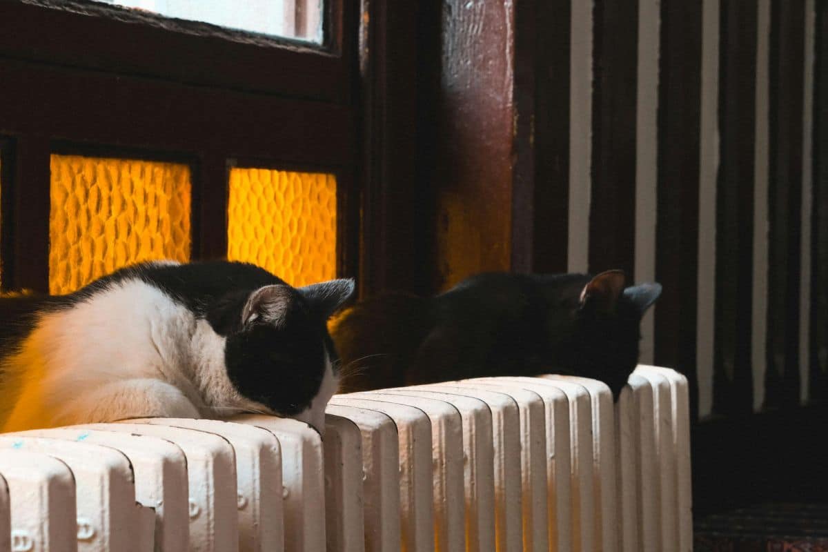 Ce petit ajustement sur le radiateur aide les retraités à mieux chauffer leur logement sans surcoût