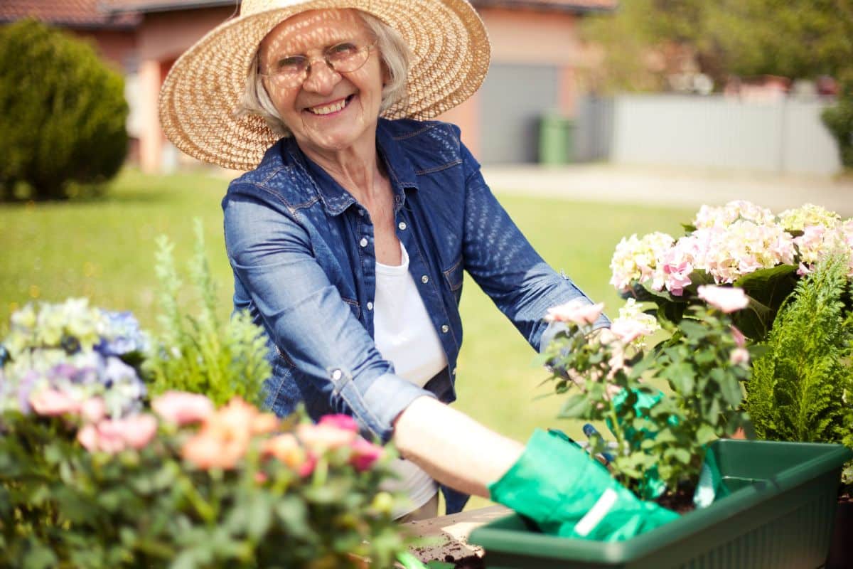 On pensait ses plantes définitivement mortes après l’été… voici comment elle les a fait repartir de zéro