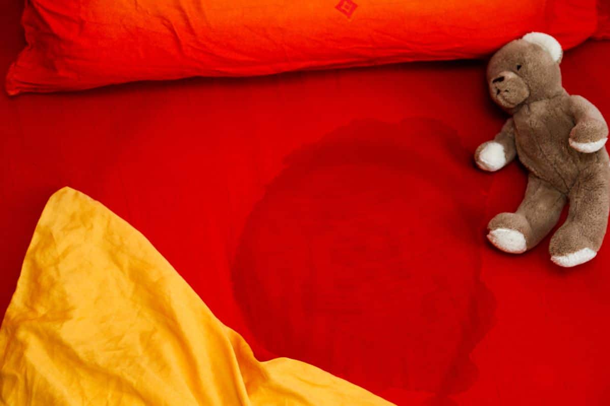 Ces produits « miracles » contre les taches de pipi abîment vos tissus : ce geste facile à faire les élimine sans trace
