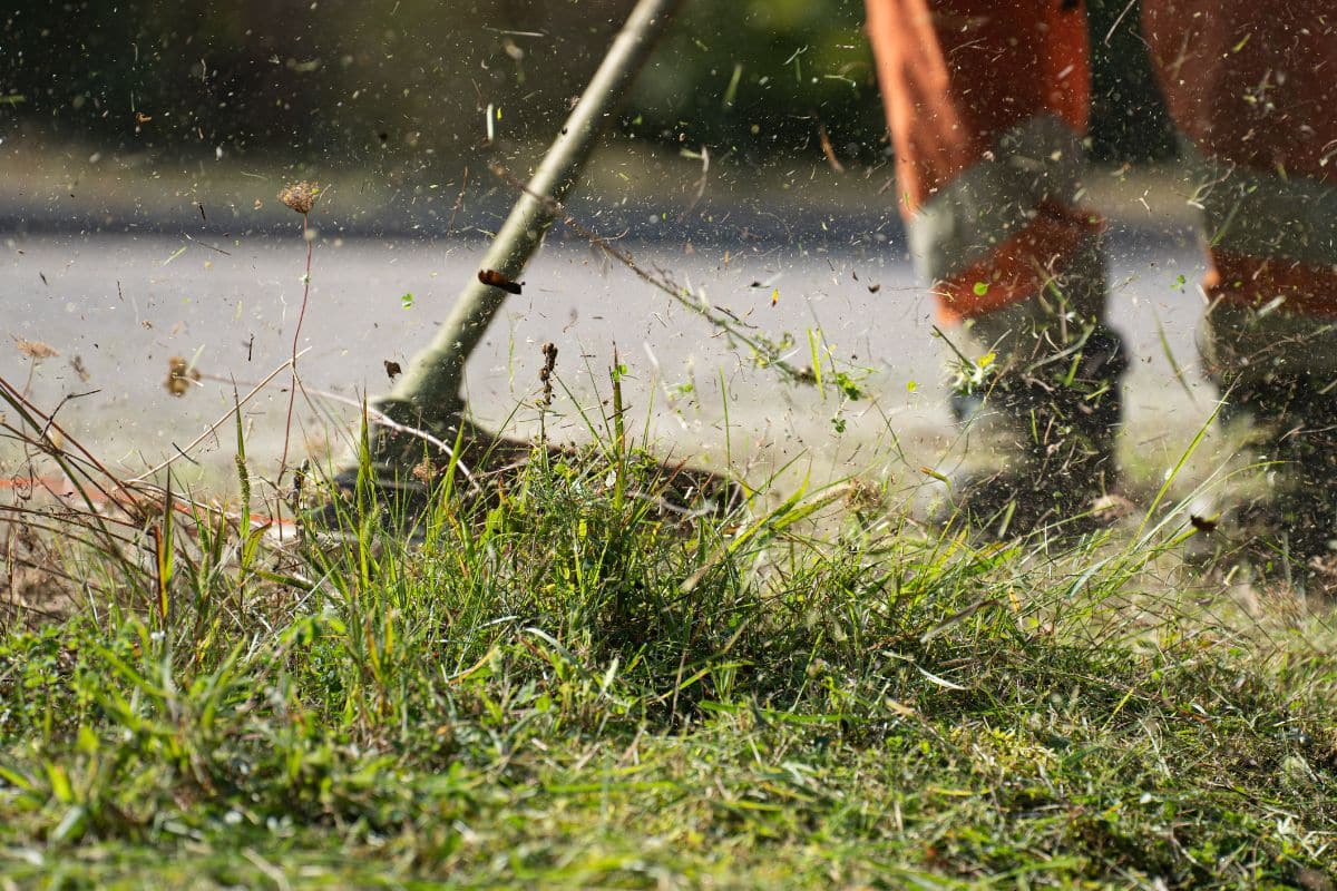 Plusieurs départements interdisent la tonte à la mi-journée : les professionnels du jardinage dénoncent une mesure injuste