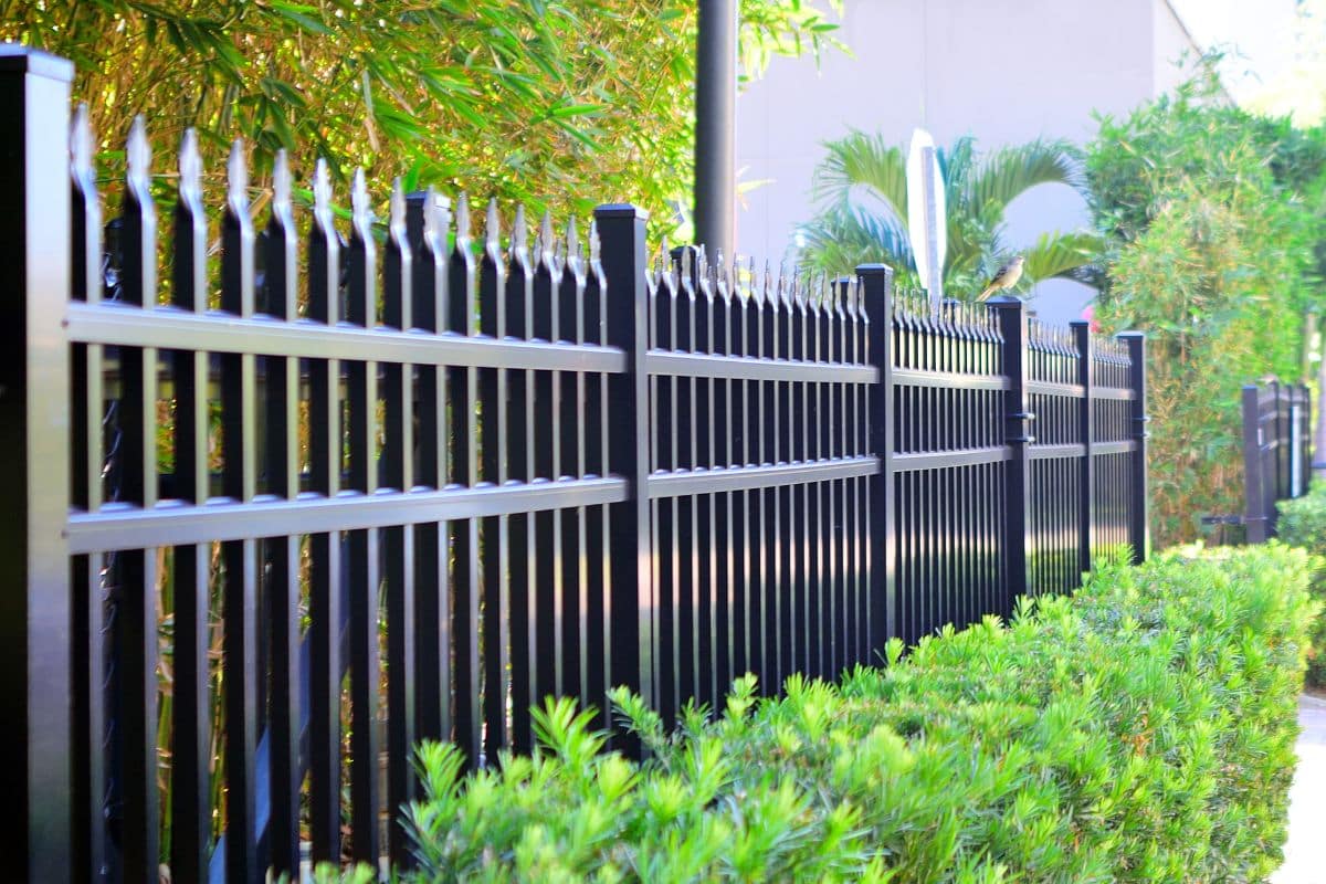 Un simple trou au pied de la clôture : la technique étonnante utilisée par les jardiniers les plus débrouillards