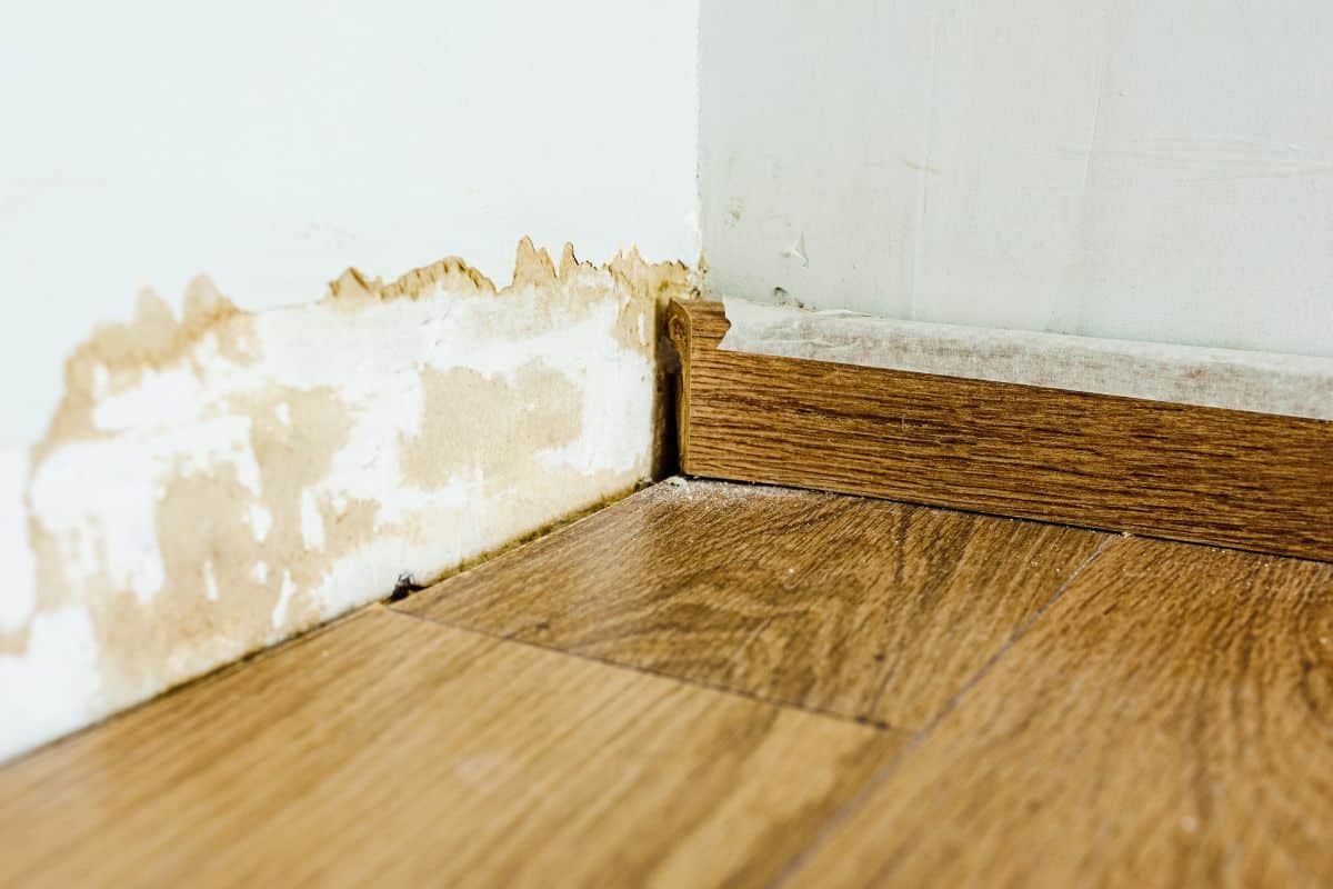 Maison humide : comment en finir durablement avec des méthodes 100 % naturelles