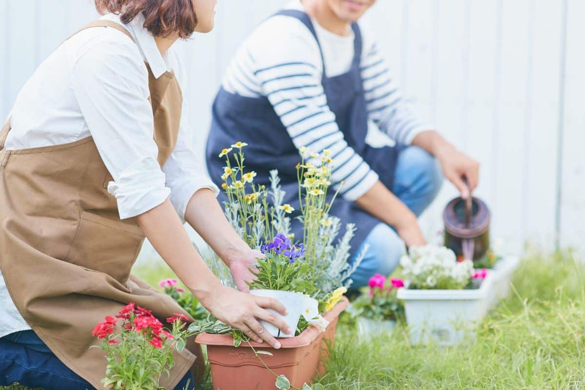 Potager, pelouse, massifs… Voici les priorités à ne pas rater dans votre jardin ce mois-ci