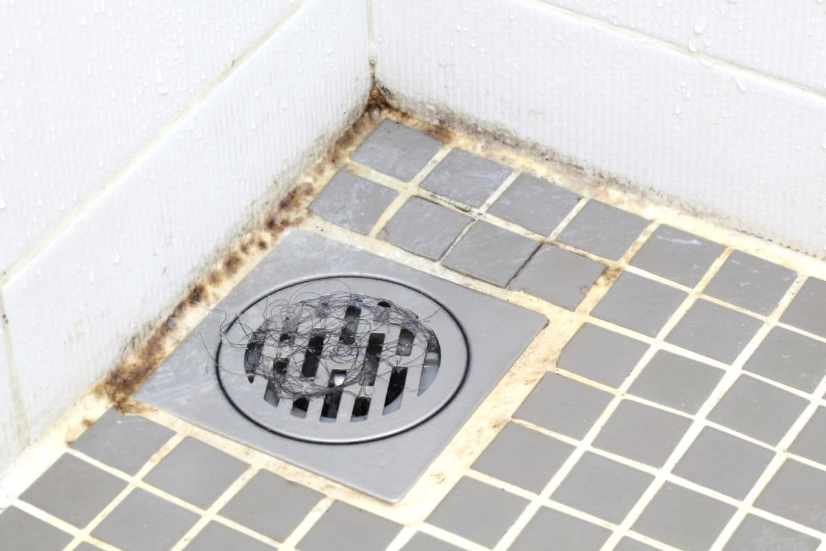 L’astuce préférée des pros du ménage pour dire adieu à la moisissure dans la salle de bain