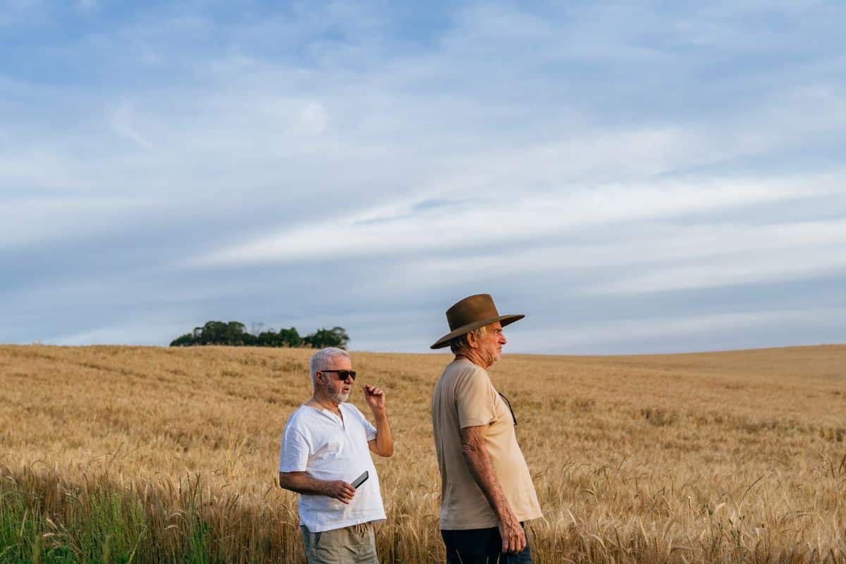 Ce changement sur les 25 meilleures années pourrait doubler la retraite de milliers d’agriculteurs d’ici 2028