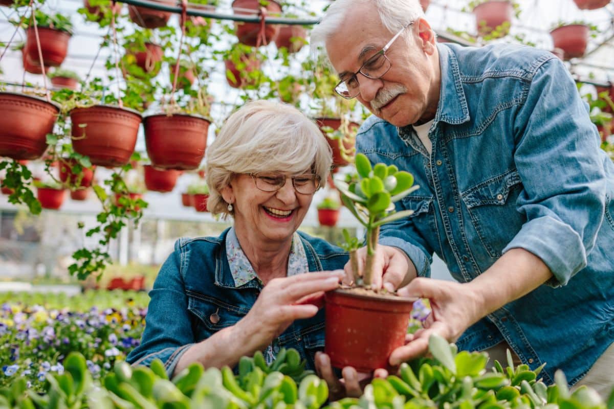 Le vrai drame des retraites n’est pas l’âge légal : ce que vivent les seniors au travail est accablant