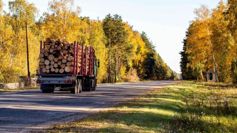 semi remorques de bois de chauffage en 2m
