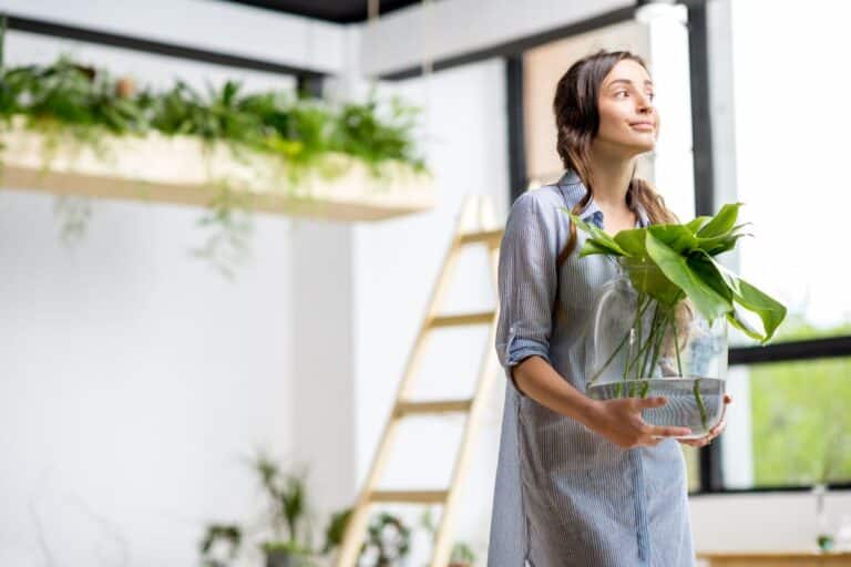 plantes ne souffrent pas de la chaleur