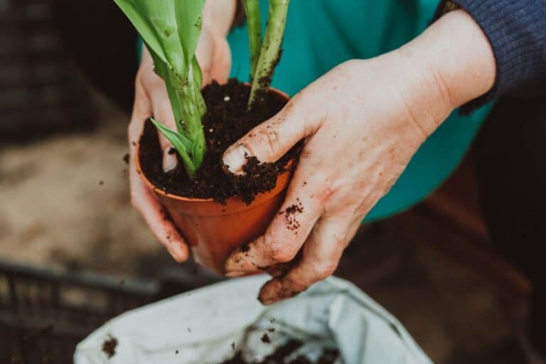 protège plantes gel